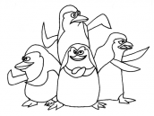 desenhos para pintar pinguins de madagascar