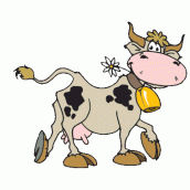 vaca