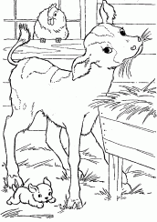 desenhos para colorir de fazenda com animais