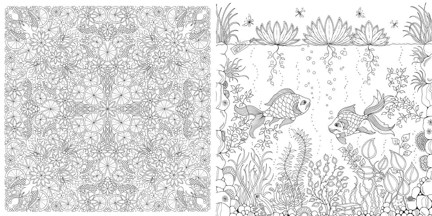 desenhos para colorir para adultos jardim secreto johanna