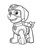 desenhos para pintar patrulha canina