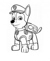 patrulha canina para colorir e imprimir