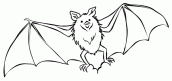 desenhos de morcegos para colorir