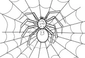 desenhos de teia de aranha para colorir