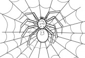 desenhos de teia de aranha para colorir