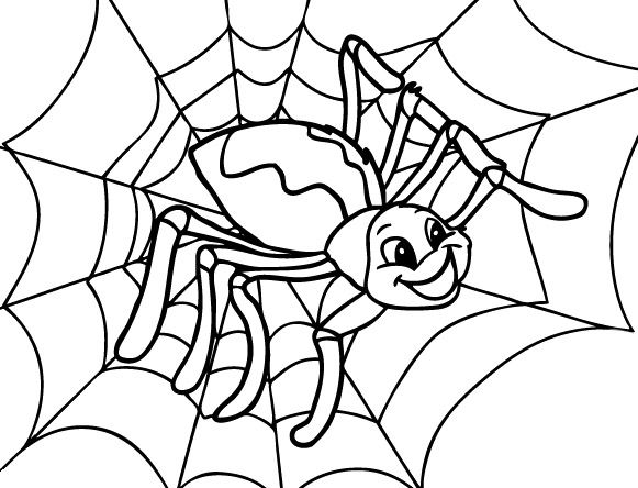 teia de aranha para colorir