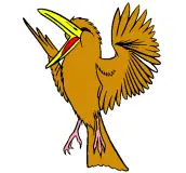 Desenhos de aves para colorir imagem