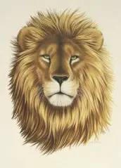 Desenhos de leão para colorir