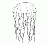 Desenhos para pintar e imprimir de medusa