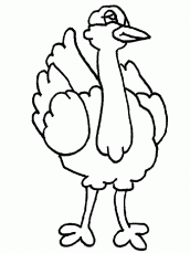 desenhos de avestruz para colorir 01