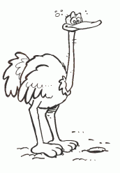 desenhos de avestruz para colorir 02