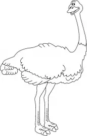 desenhos de avestruz para imprimir 01