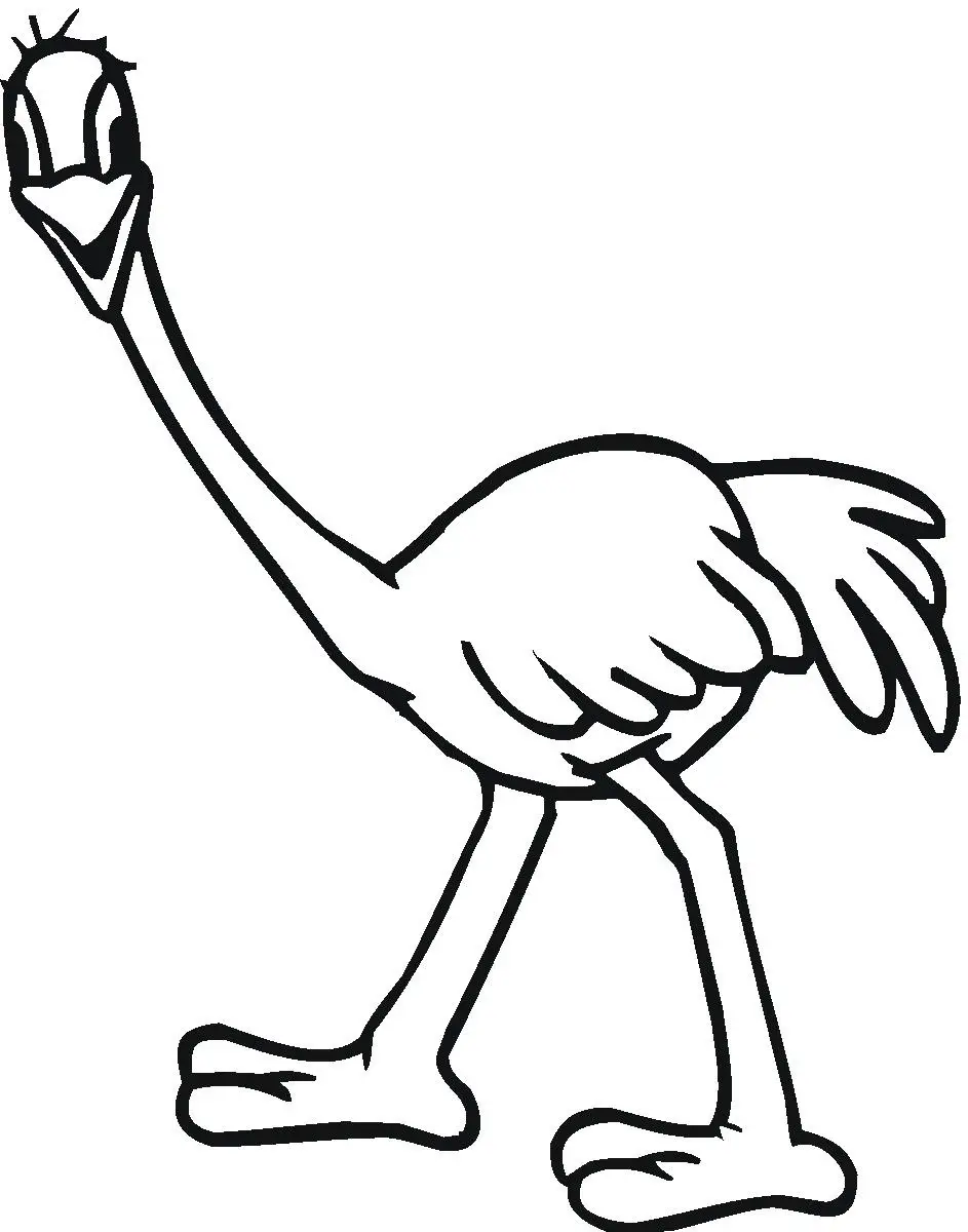 desenhos de avestruz para imprimir 02