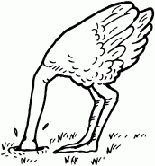 desenhos de avestruz para pintar 03