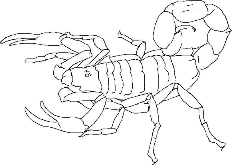 desenhos de escorpiao para imprimir 01