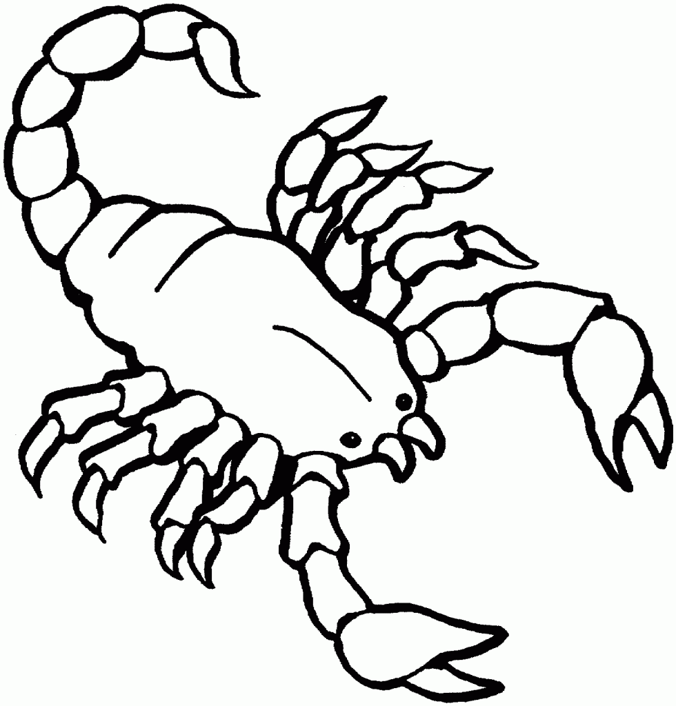 Desenhos de escorpião para colorir
