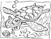 desenhos de oceano para colorir 02