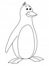 desenhos de pinguim para pintar 03