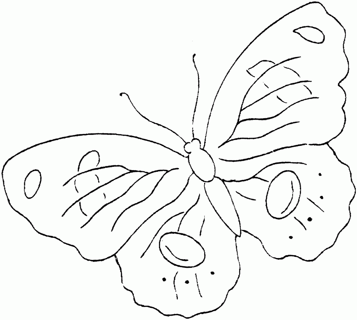 desenhos de mariposa para colorir