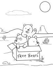 desenhos de ursos sem curso para colorir