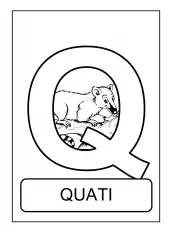 alfabeto de animais Q para colorir