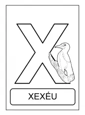 alfabeto de animais X para colorir