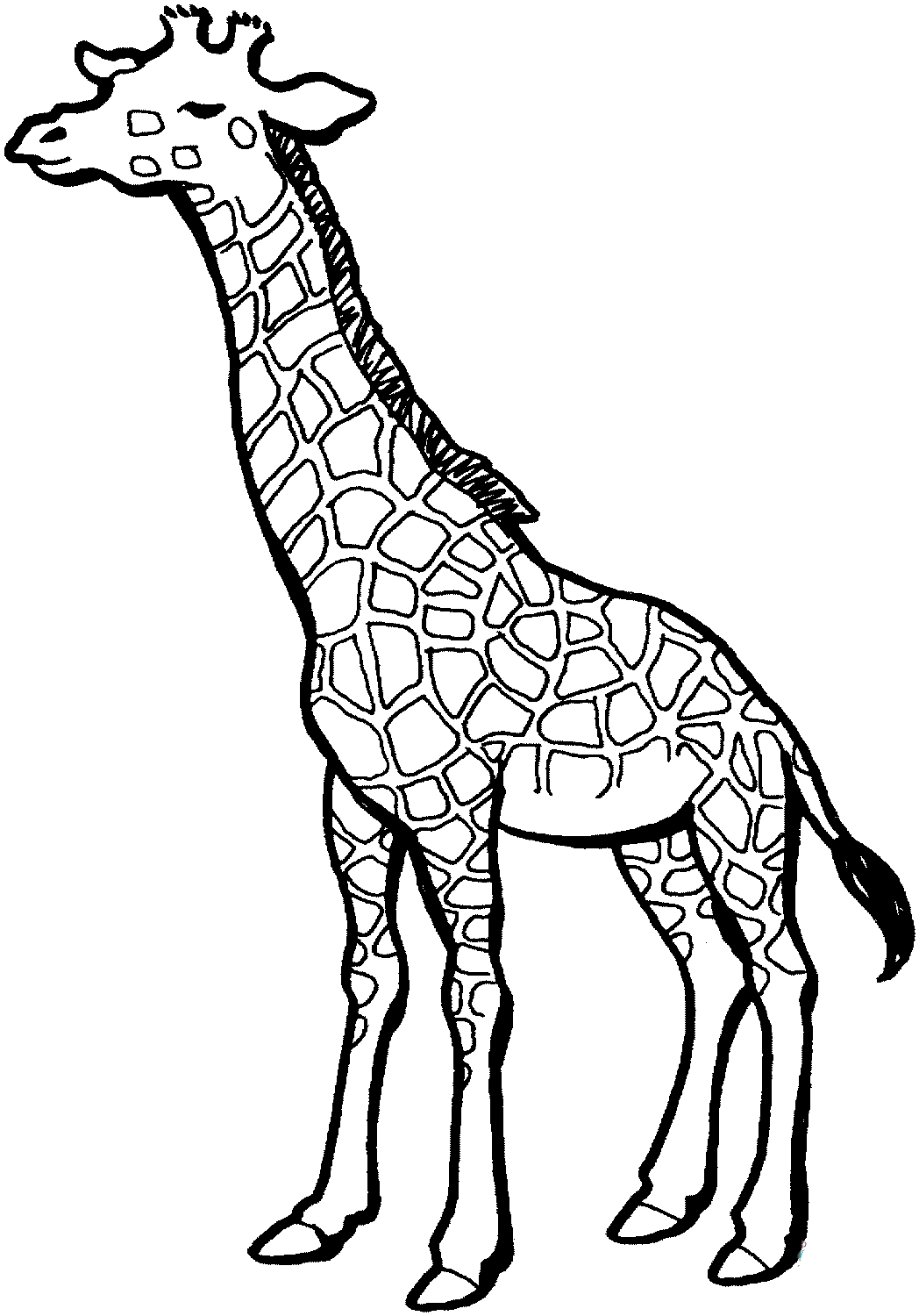 animais africanos para colorir