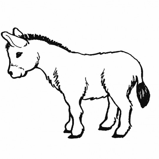 animais com pelos para colorir