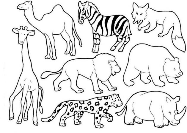 animais da africa para pintar