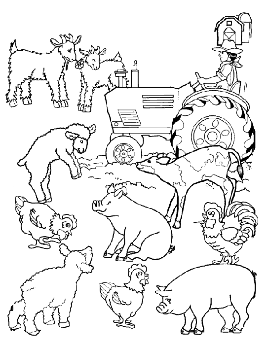 animais da fazenda para colorir