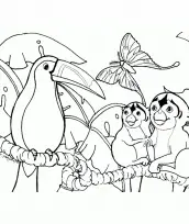 animais do pantanal para colorir