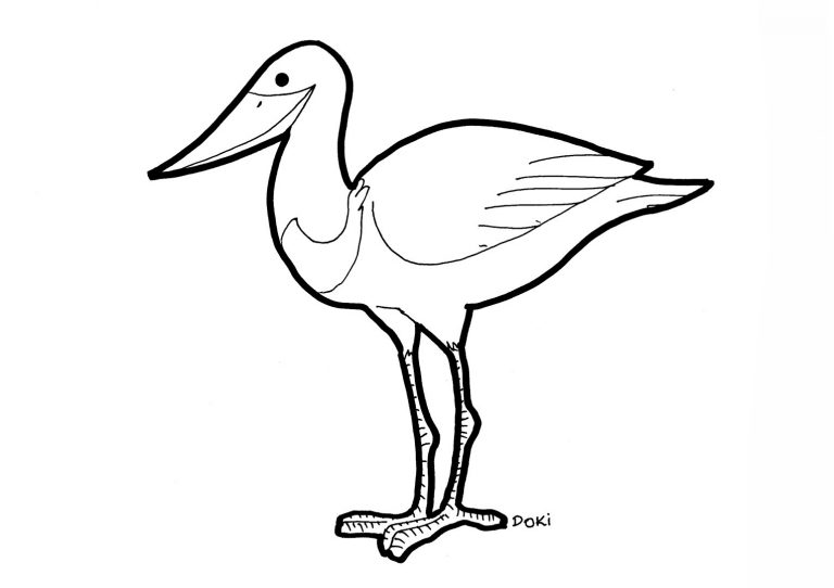 Desenhos de animais do Pantanal para colorir