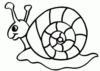Imagens de animais invertebrados para colorir