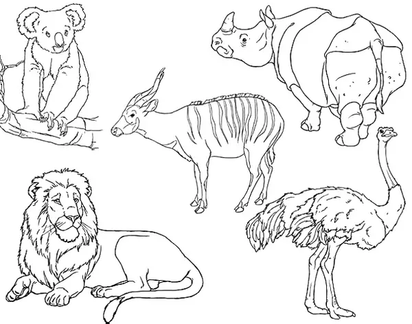 animais vertebrados para pintar