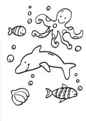 desenhos de animais aquaticos para colorir
