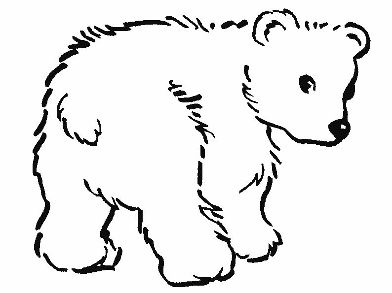 desenhos de animais com pelos para colorir