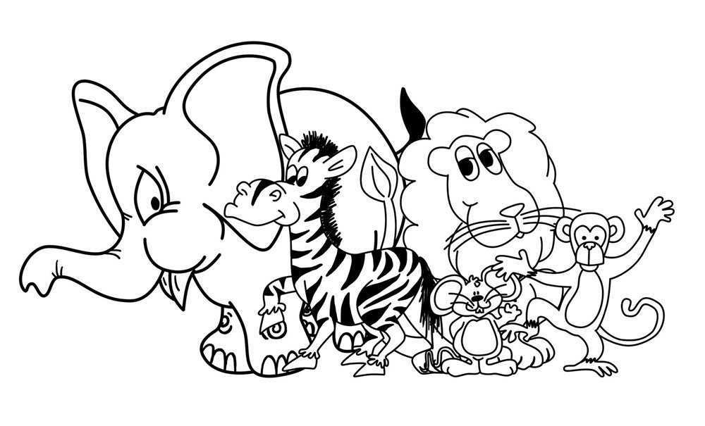 desenhos de animais da floresta para colorir