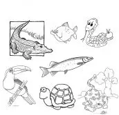 desenhos de animais da selva para colorir