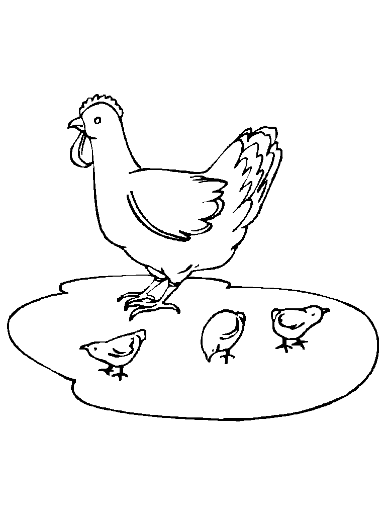 desenhos de animais de estimação para colorir