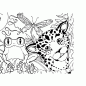 desenhos de animais do pantanal para colorir