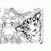 Desenhos Para Colorir 40 Folhas Soltas Tamanho A4 Desenhos Infantis Animais  Pantanal Amazônia Pantaninho Pinturas Natureza Macaco Capivara Arara  Papagaio Morceco Tartaruga Preserve A Natureza