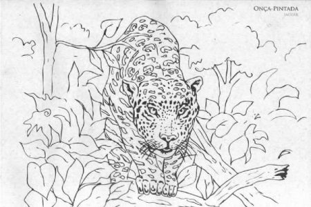 Desenhos de animais do Pantanal para colorir