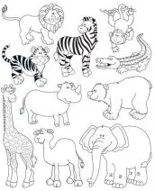 desenhos de animais selvagens para colorir