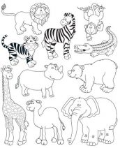 desenhos de animais selvagens para colorir