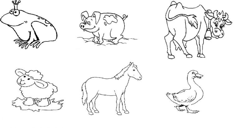 Desenhos de animais terrestres para colorir