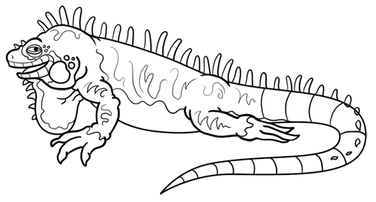 desenhos de iguana para colorir