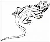 desenhos de iguana para imprimir