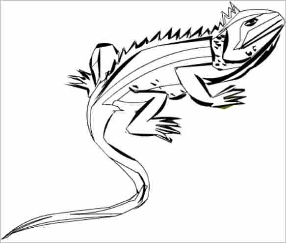 desenhos de iguana para imprimir