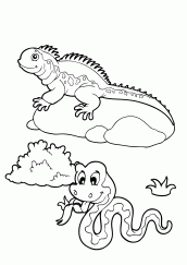 figuras de iguana para colorir