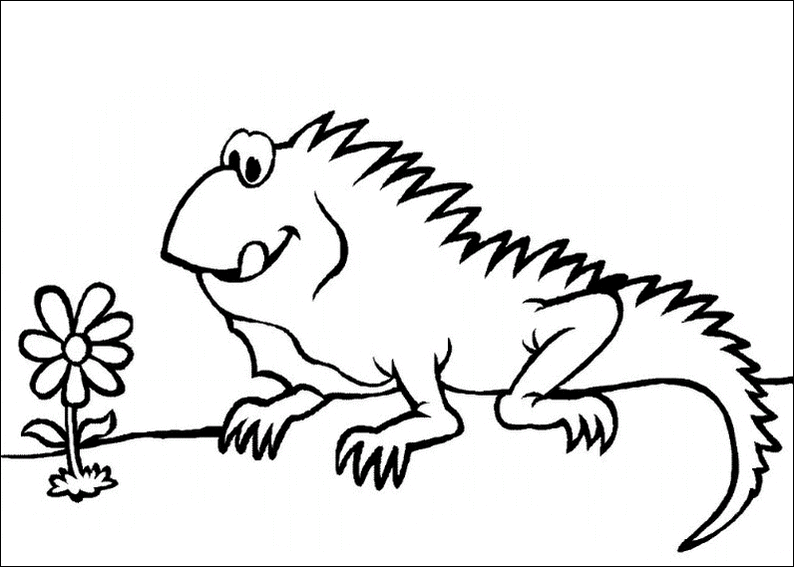 iguana para colorir